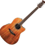 Ovation Celebrity CS24P-FKOA-G